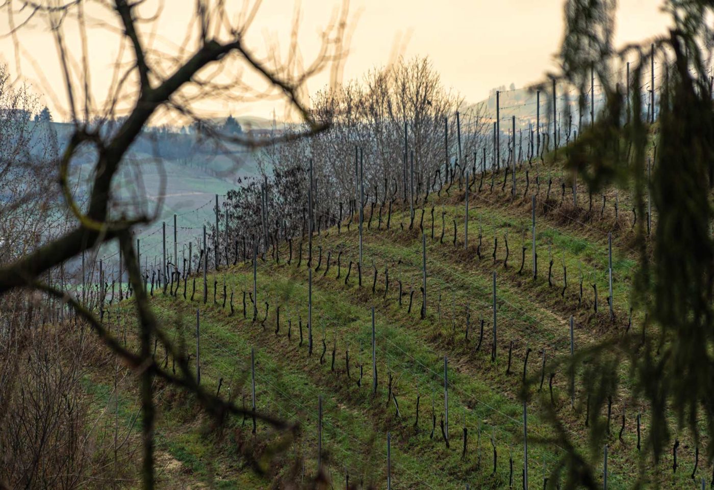 Wine country house tasting at Ca' d'Gal — Tenuta La Cova