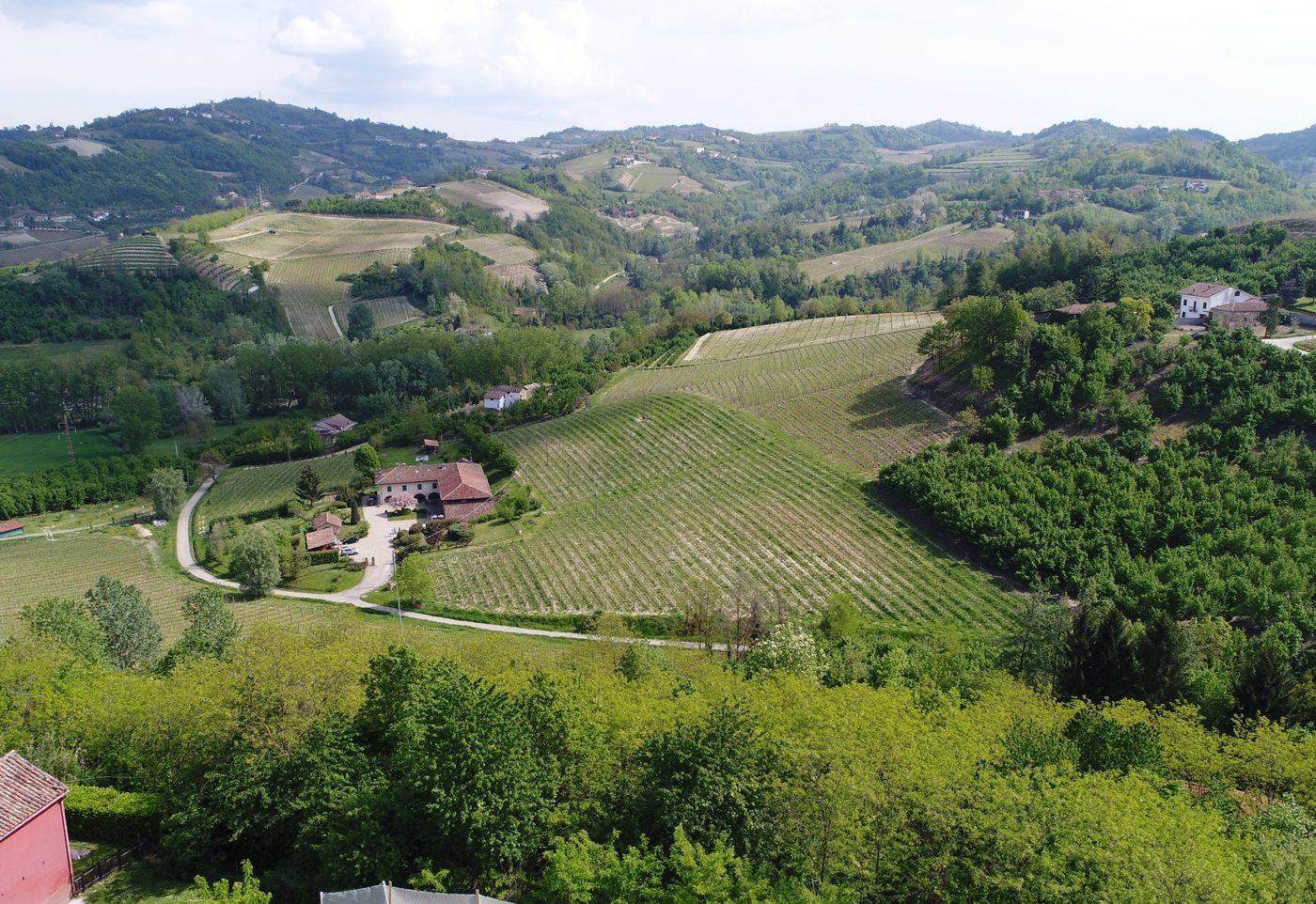 Cellar tour & tasting at La Giribaldina
