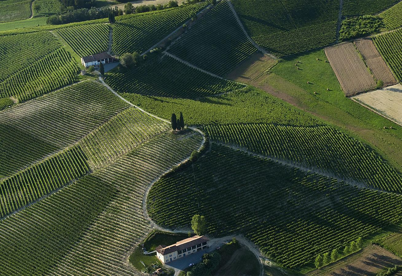 Cellar tour & tasting at Michele Chiarlo