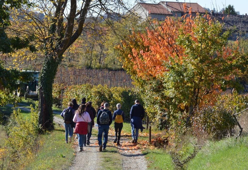 Guided walks in the UNESCO hills — Tenuta Santa Caterina